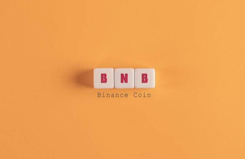 Каждой твари по паре. Обзор криптовалюты Binance Coin (BNB)