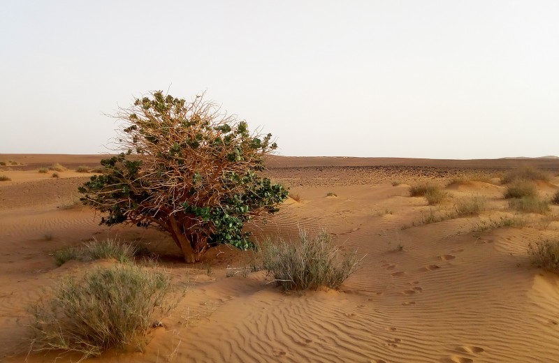 Одна вокруг света. Как почувствовать себя кинозвездой в Судане
