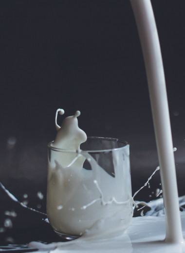 Вред или польза: разрушаем самые популярные мифы о молоке