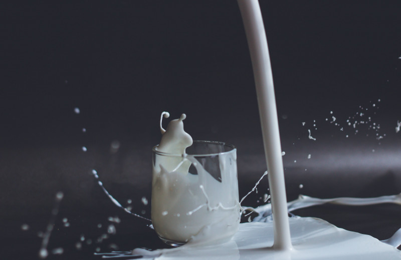 Вред или польза: разрушаем самые популярные мифы о молоке