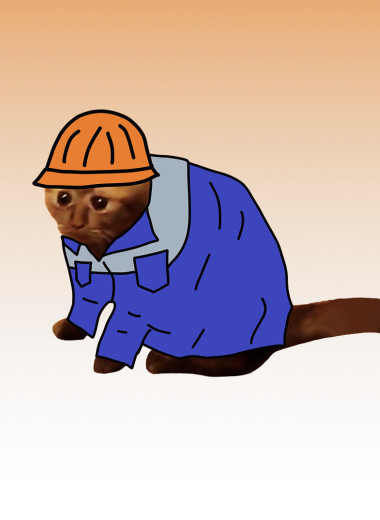 Долгий поиск, скромные зарплаты и высокая конкуренция. Что происходит с рынком труда в России?