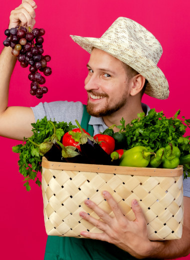 Календарь фруктов и овощей: в каком месяце сезон вашего любимого плода?