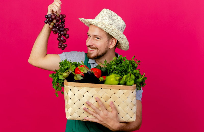 Календарь фруктов и овощей: в каком месяце сезон вашего любимого плода?