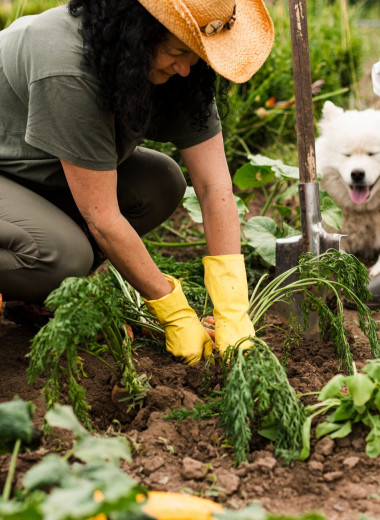 Золотые правила дачников: как заниматься садоводством без вреда для здоровья