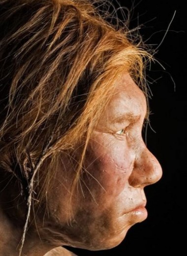 Опровергнута причина исчезновения неандертальцев