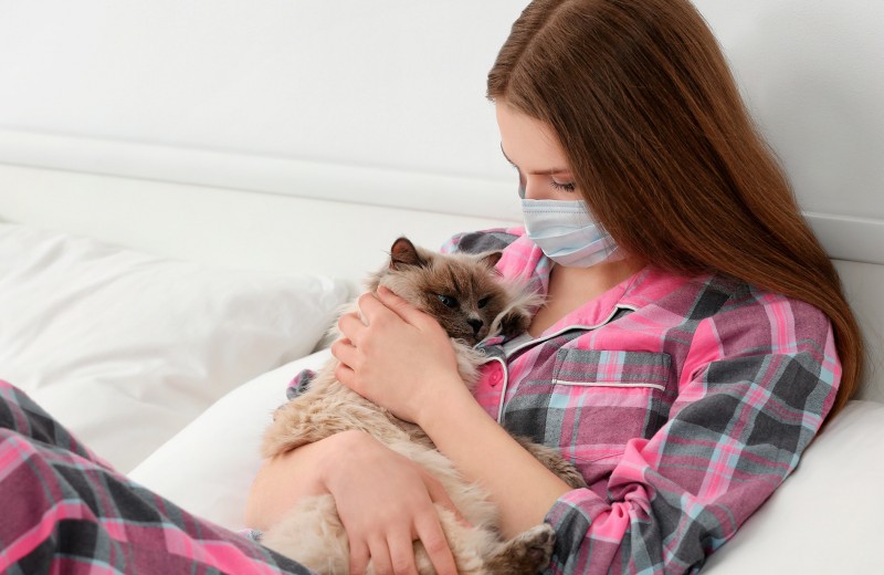 Аллергия на кошек: что делать, чтобы не расставаться с пушистым другом