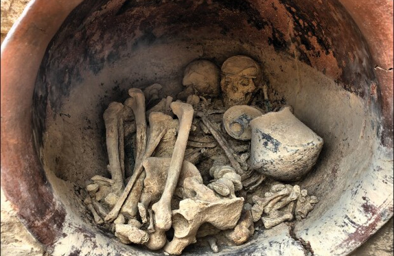 Генетики нашли предков иберийцев ранней бронзы в Центральной Европе