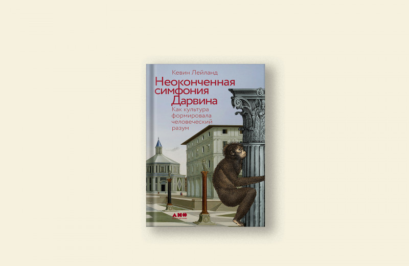 Как люди научились сотрудничать. Отрывок из книги «Неоконченная симфония Дарвина»