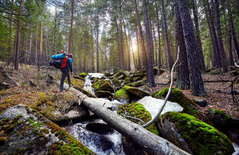 Навыки выживания: что делать, если вы заблудились в лесу