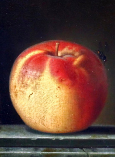 Спектроскопия помогла недеструктивно измерить красноту мякоти яблок