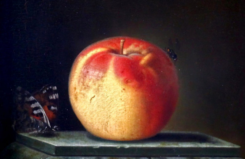 Спектроскопия помогла недеструктивно измерить красноту мякоти яблок
