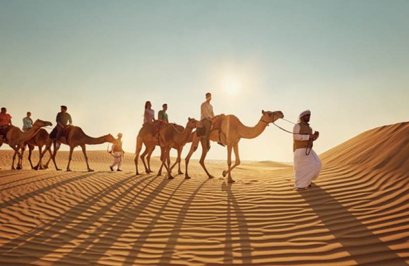 3 причины провести семейный отпуск в Абу-Даби