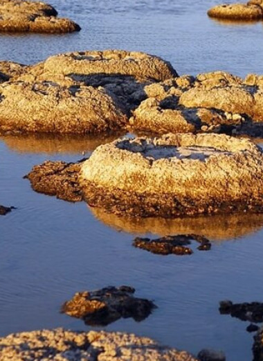 ИИ находит признаки жизни в древнейших породах