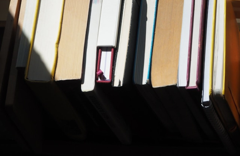 Мозг и тело в действии: эффективные способы повысить умственные способности