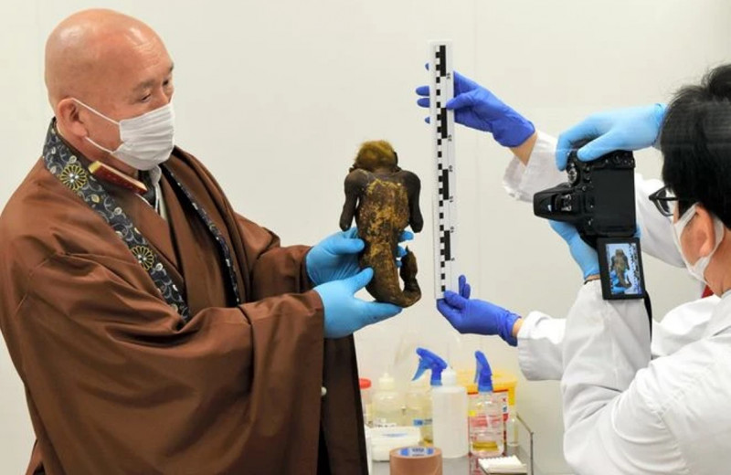 Из чего сделана японская «мумия-русалка»? Жутковатую находку исследовали ученые