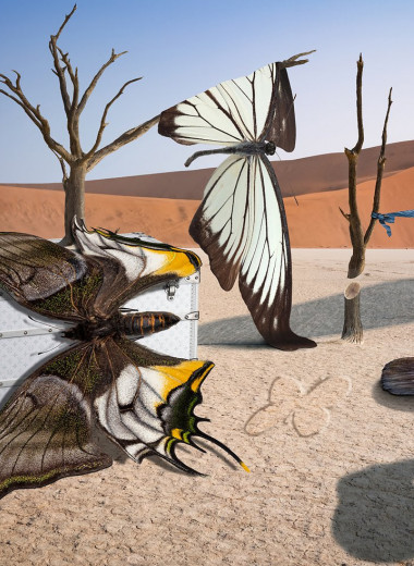 Бабочки в искусстве: фотопроект «Реинкарнация»
