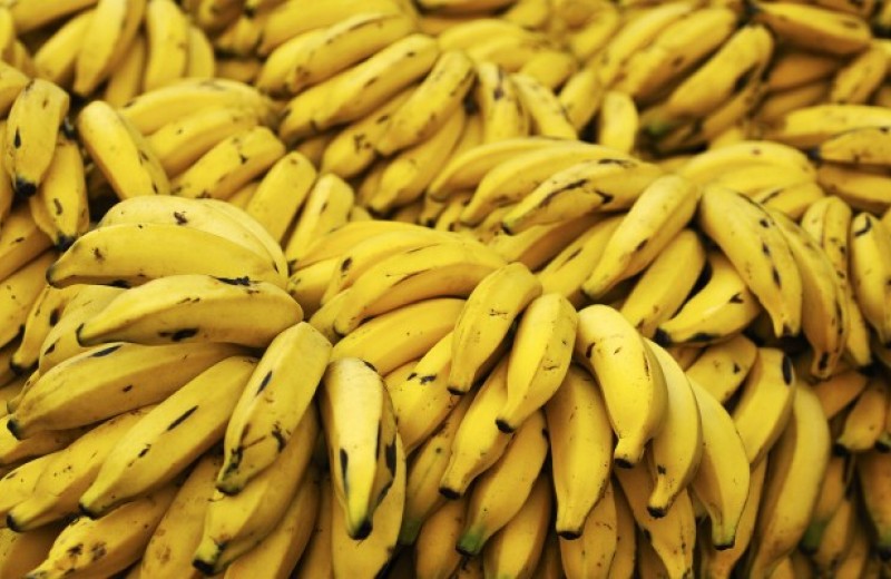 Бананы, песок и пчёлы: 10 ресурсов на грани исчезновения