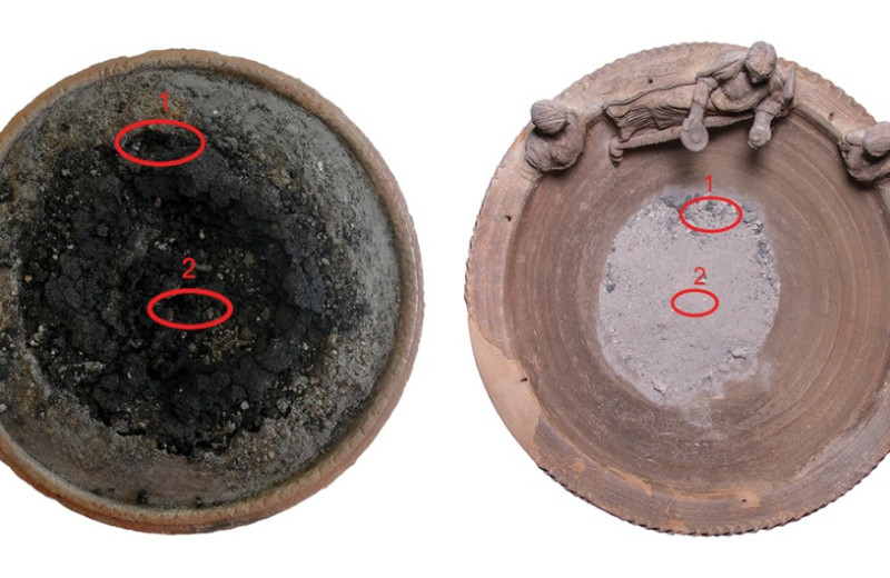 Под Помпеями сожгли импортный элеми