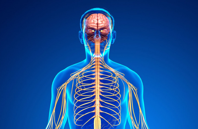 Тюнинг тела. 10 электронных устройств, которые помогают стать здоровее