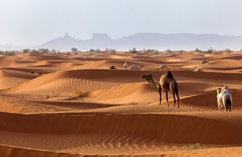 Как Саудовская Аравия привлекает туристов с помощью инстаграм-блогеров