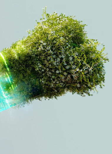 Зеленые технологии спасут мир: как GreenTech помогает избавить планету от мусора