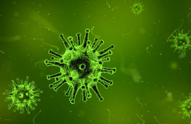 5 самых опасных вирусов — и можно ли их победить