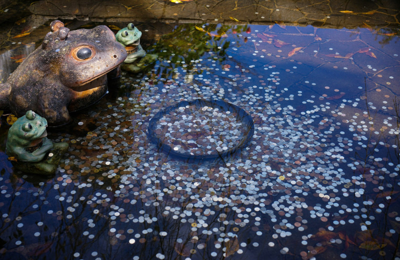 Не для того, чтобы вернуться: почему появилась традиция бросать монеты в море и фонтаны?
