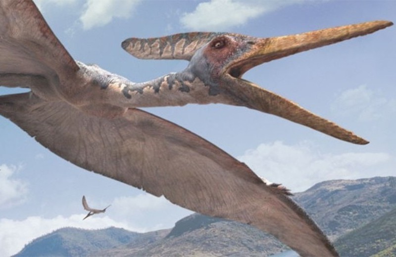 Жуть Юрского периода: 10 самых опасных динозавров