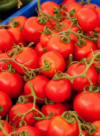 Польза «золотых яблок»: 5 причин есть томаты каждый день, о которых вы не слышали