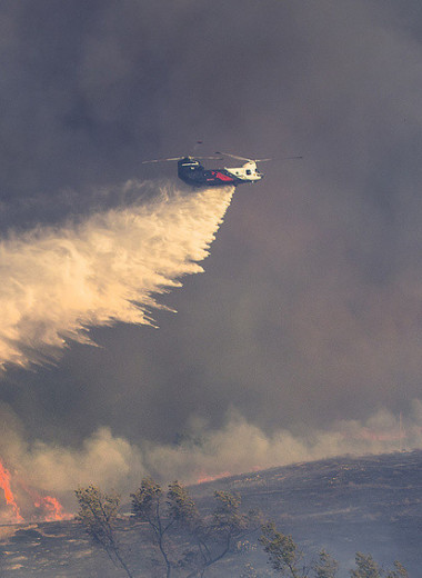 Кто зарабатывает на лесных пожарах с помощью вертолетов, спутников и роботов