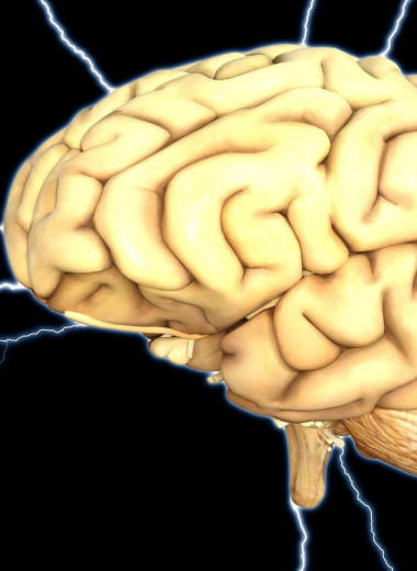 Утечка мозгов: почему нейроны потребляют так много энергии даже когда мы отдыхаем