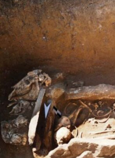 В пазырыкском могильнике нашли погребение в каменном ящике и четыре черепа животных
