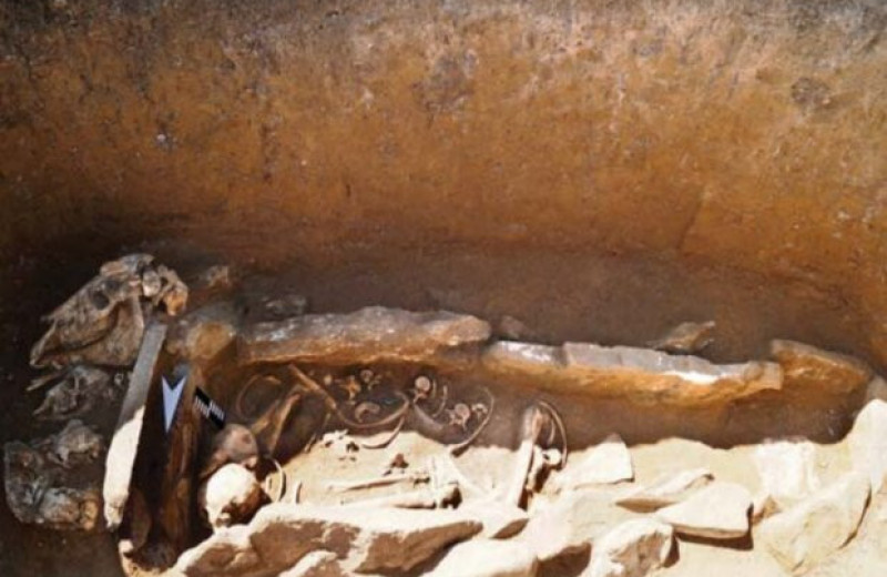 В пазырыкском могильнике нашли погребение в каменном ящике и четыре черепа животных