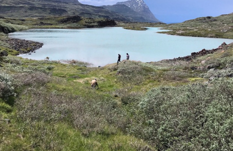 Засушливый климат вынудил викингов покинуть Гренландию
