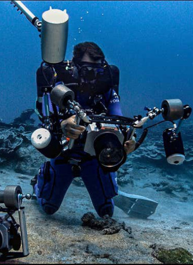 Красота из глубин: у берегов Таити нашли необычный коралловый риф