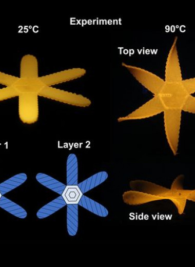 Жидкокристаллические эластомеры с градуированными свойствами приспособили для 3D-печати