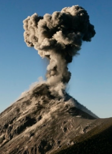 Вулканы, голод и холод: новое исследование объясняет, как чума пришла в Европу