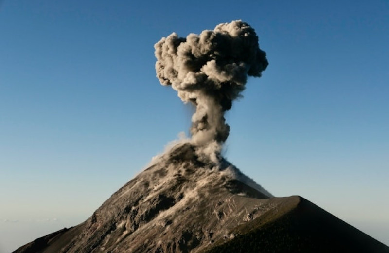 Вулканы, голод и холод: новое исследование объясняет, как чума пришла в Европу