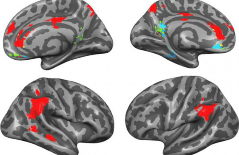 Люди задействовали разные части мозга при мыслях о близком круге и остальных знакомых