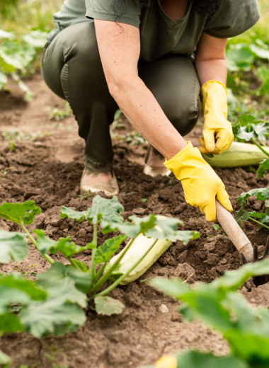 Пора на дачу — грядки полоть! 5 причин, почему работать в огороде полезно для здоровья