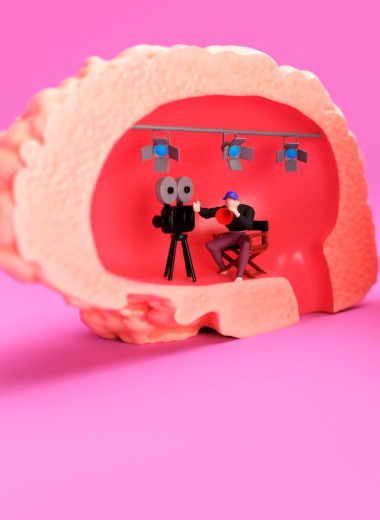 Внутричерепной строй: за что отвечают полушария мозга