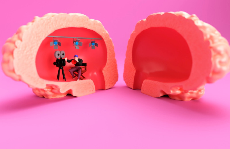 Внутричерепной строй: за что отвечают полушария мозга