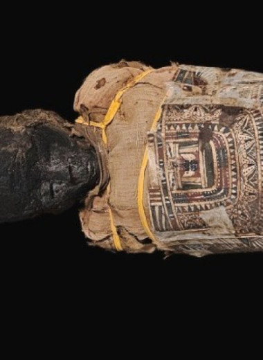 На картонаже египетской мумии разглядели изображение Нехебкау