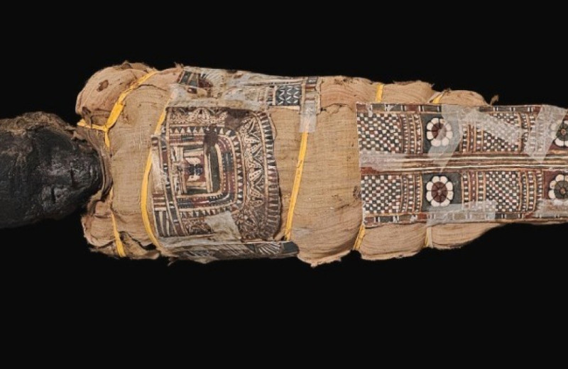 На картонаже египетской мумии разглядели изображение Нехебкау