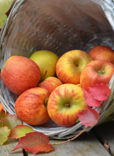 Чем полезны яблоки и сколько в них калорий