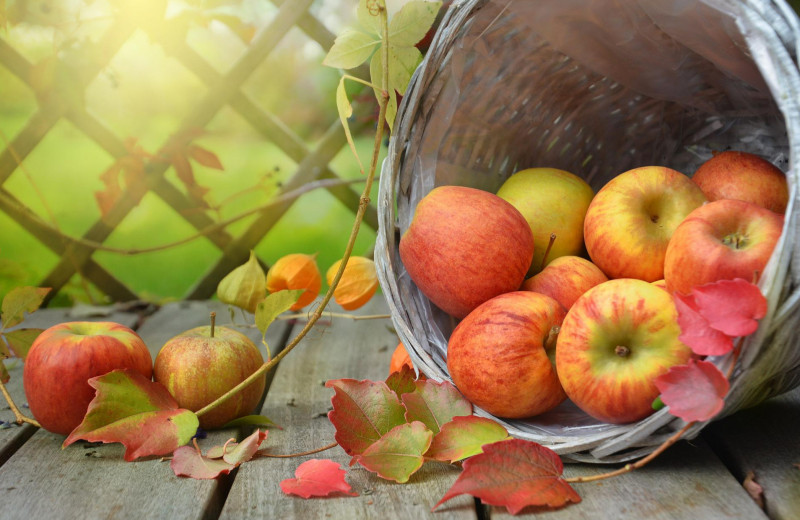 Чем полезны яблоки и сколько в них калорий
