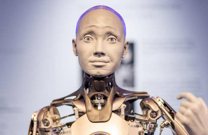 Лето роботов: как умные машины окружили человека и почему мы этого не заметили