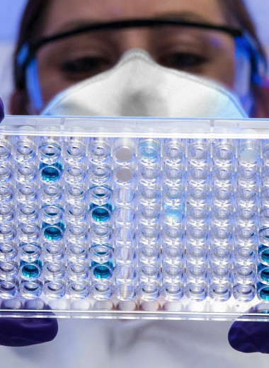 Как Гонконг переманивает западных ученых — интересные факты