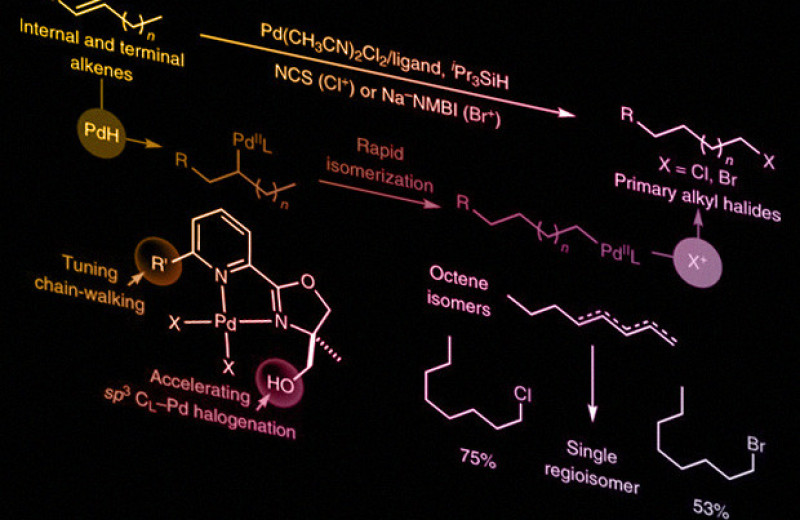 Химики научились получать первичные галогениды из изомерных алкенов