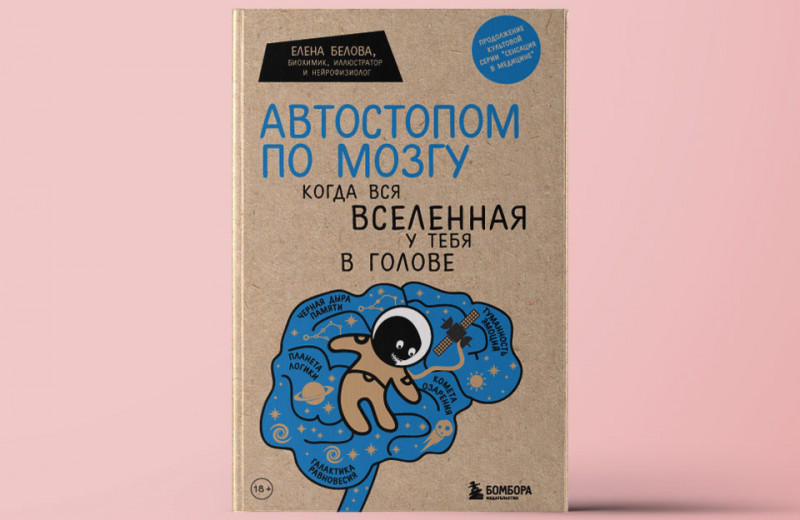 «Автостопом по мозгу. Когда вся вселенная у тебя в голове». Все об устройстве и работе мозга